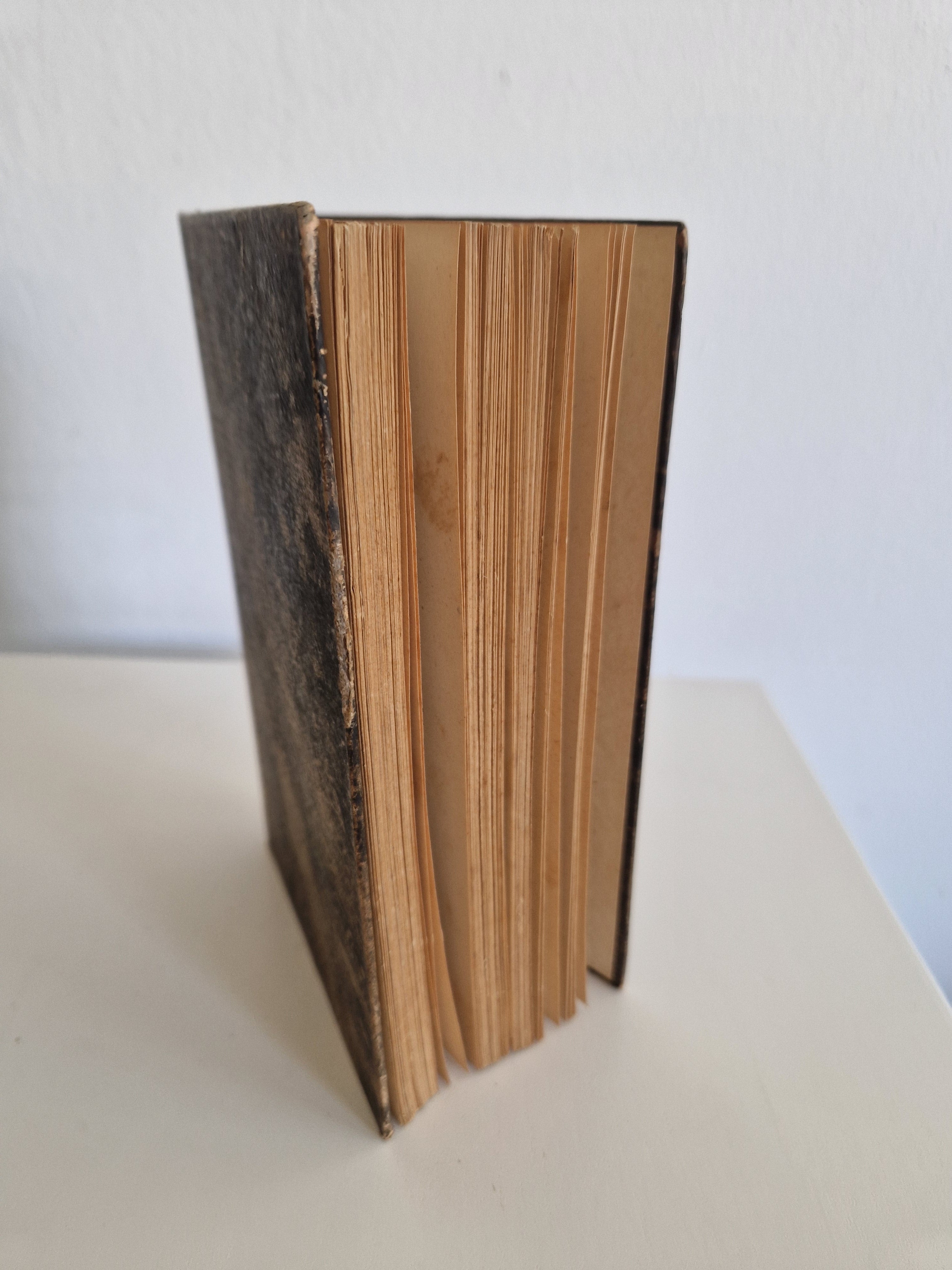 Victor Hugo – Notre-Dame de Paris, Tome Premier | Manz Éditeur, Wien | Antike französische Ausgabe