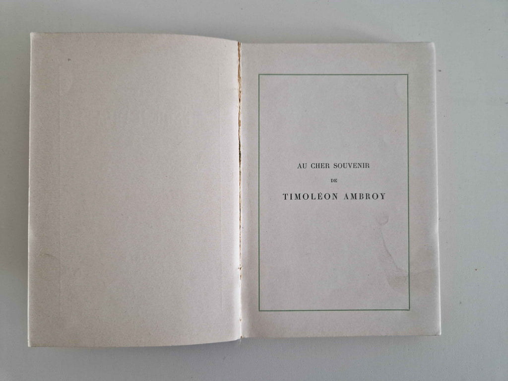 Enchanting Antique French Illustrated Book: Le Trésor d'Arlatan by Alphonse Daudet
