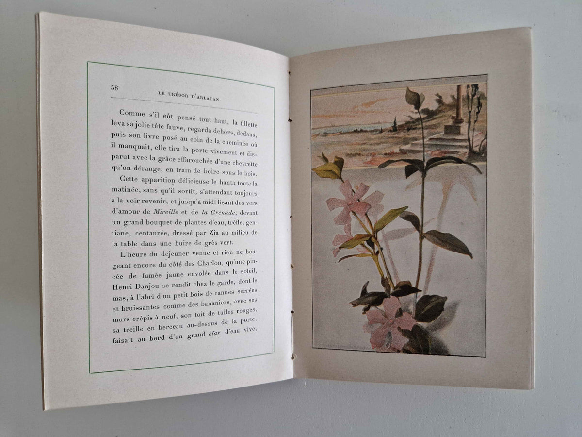 Enchanting Antique French Illustrated Book: Le Trésor d'Arlatan by Alphonse Daudet