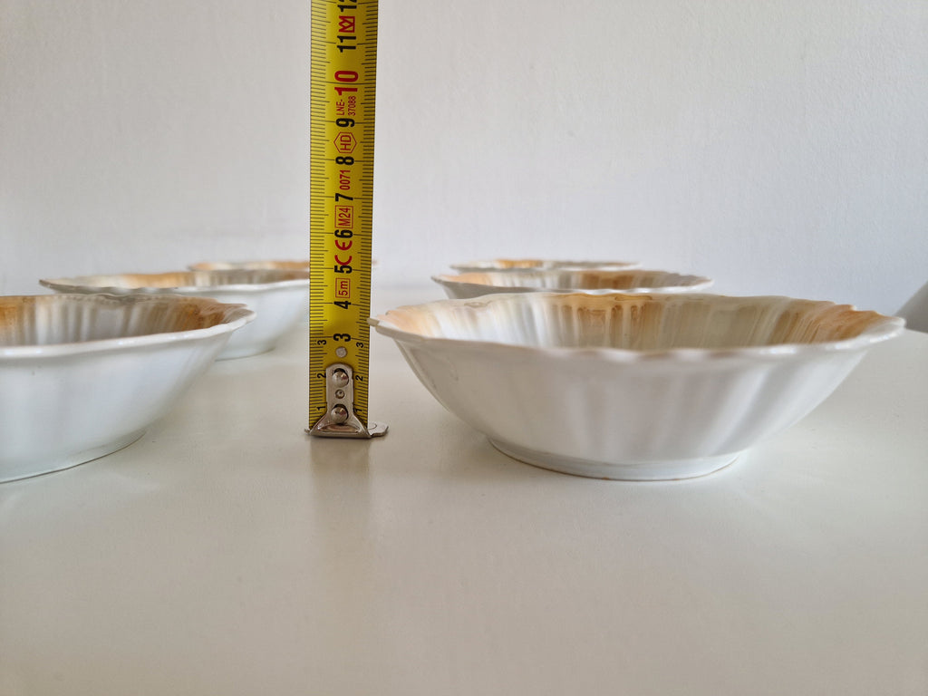Set of 6 Antique Bohemian Porcelain Bowls – Victoria Austria, Pink Roses