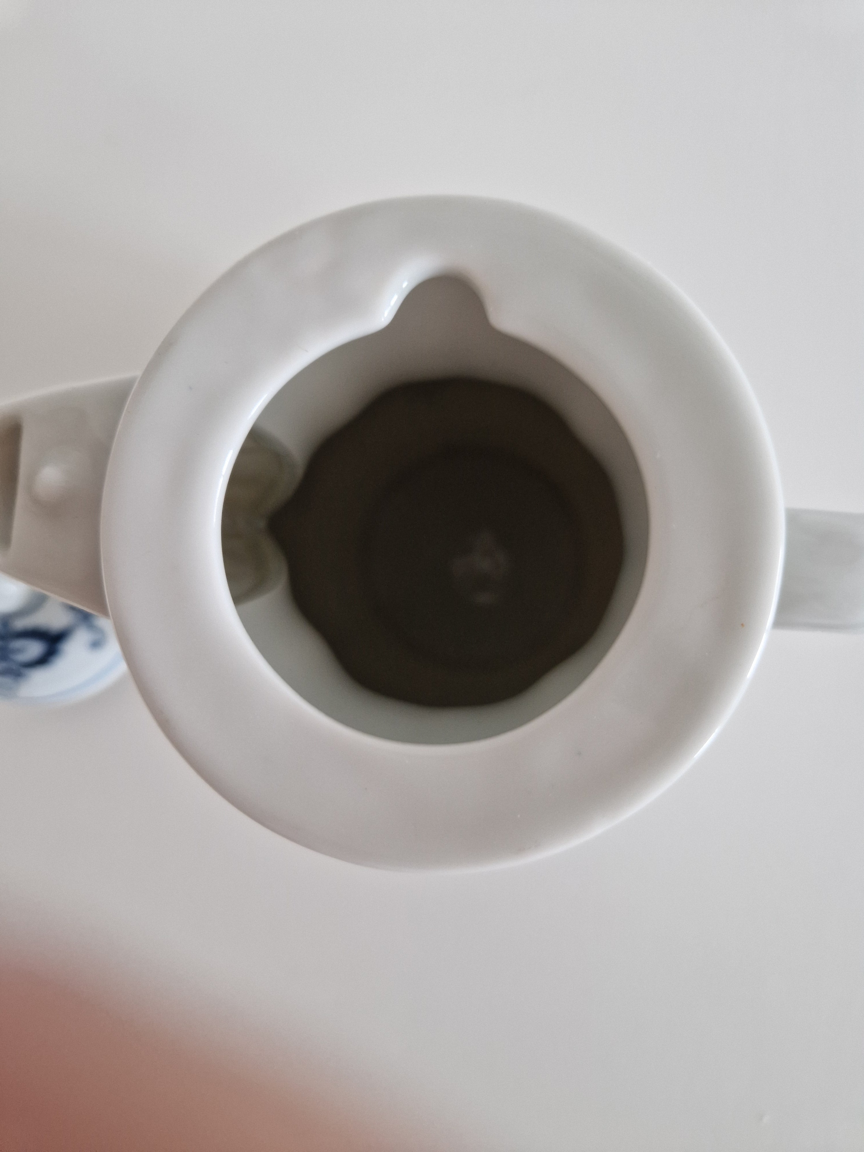 Blaue Donau Japan Porzellan Kaffeekanne mit Deckel – Zwiebelmuster