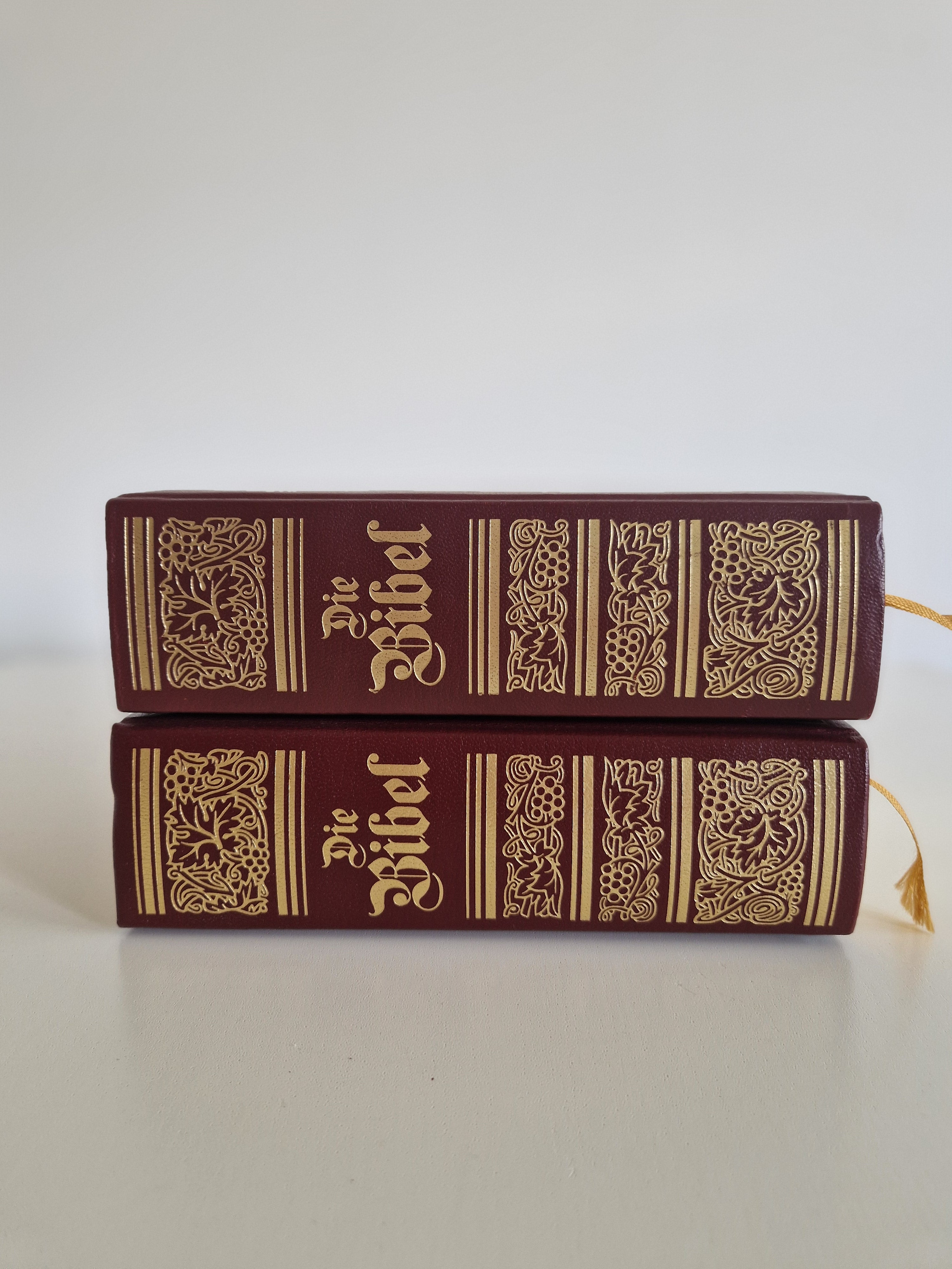 Die Bibel – Lot de 2 volumes | Ancien et Nouveau Testament complets | Traduction de Luther | Gravures de Matthaeus Merian | Naumann & Göbel