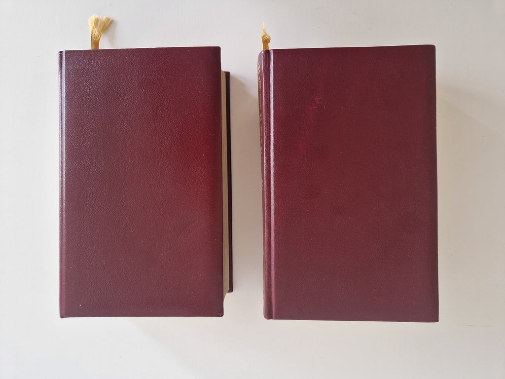 Die Bibel – Lot de 2 volumes | Ancien et Nouveau Testament complets | Traduction de Luther | Gravures de Matthaeus Merian | Naumann & Göbel
