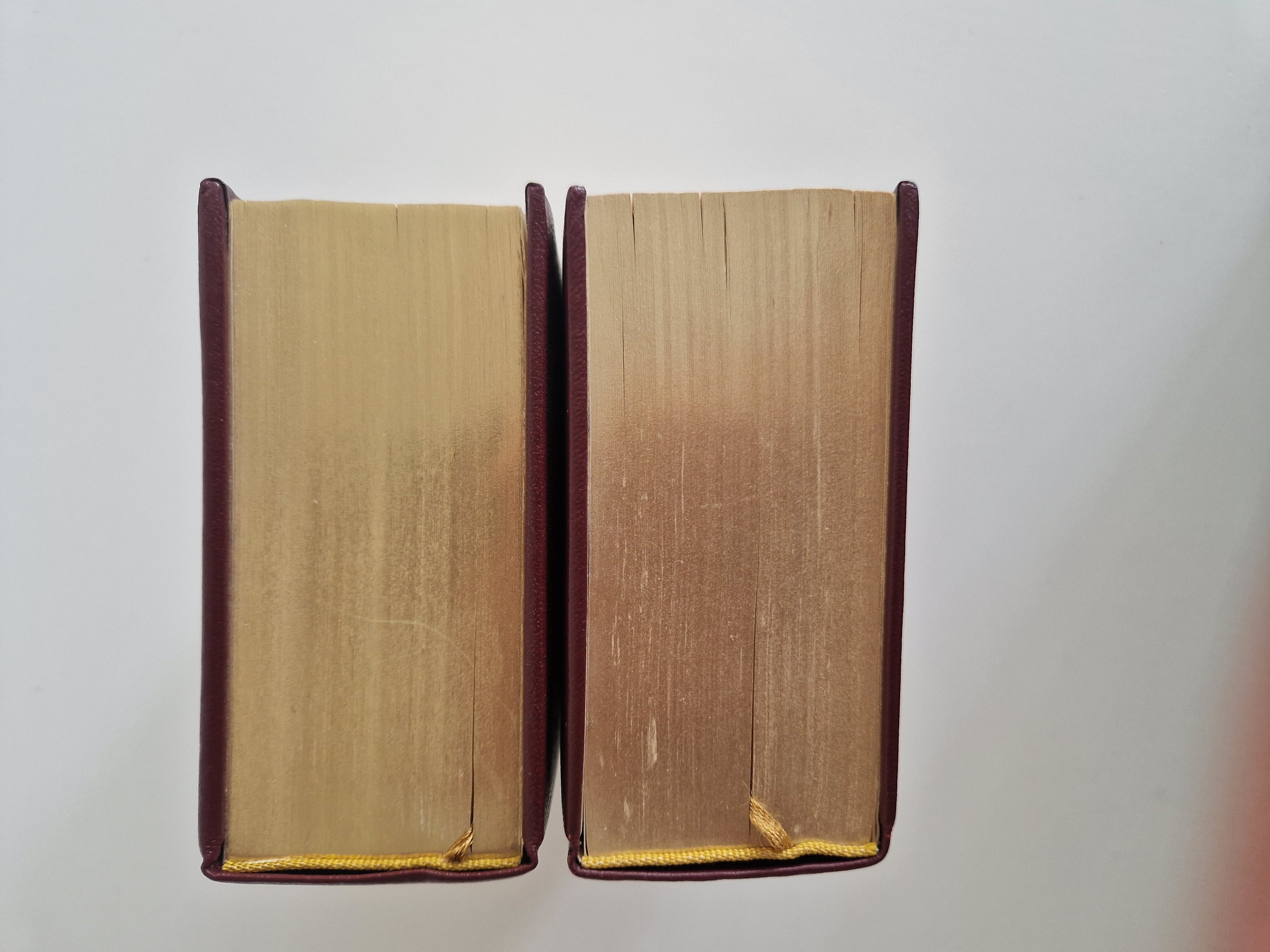 Die Bibel – Lot de 2 volumes | Ancien et Nouveau Testament complets | Traduction de Luther | Gravures de Matthaeus Merian | Naumann & Göbel