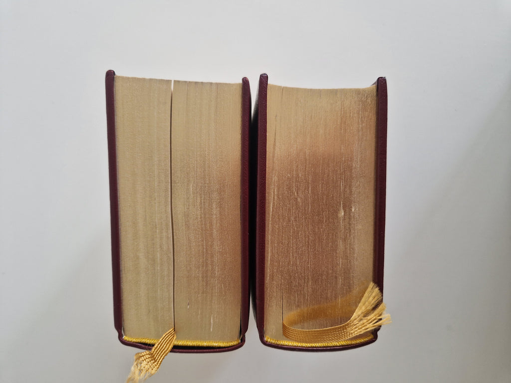 Die Bibel – Lot de 2 volumes | Ancien et Nouveau Testament complets | Traduction de Luther | Gravures de Matthaeus Merian | Naumann & Göbel