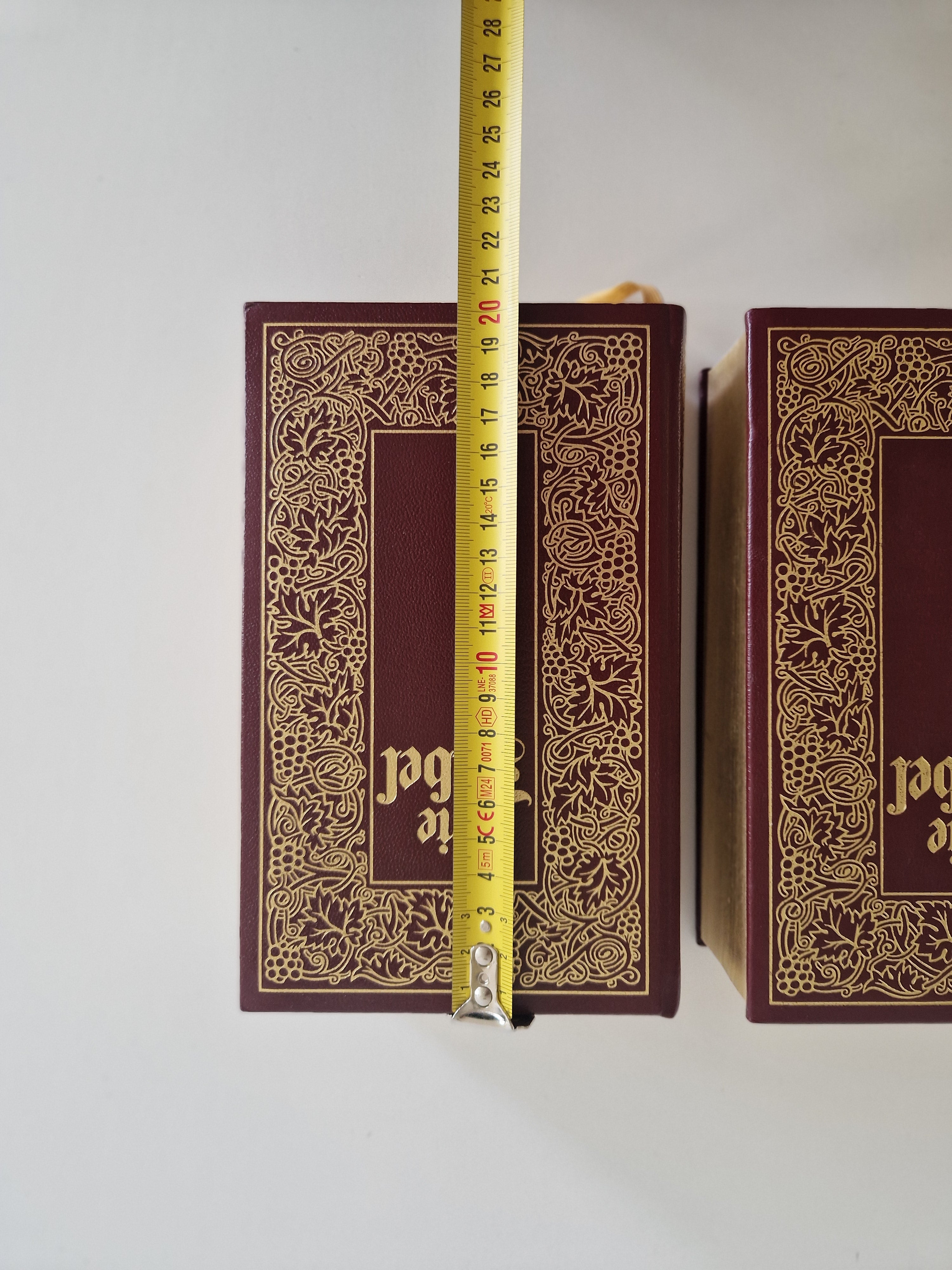 Die Bibel – Lot de 2 volumes | Ancien et Nouveau Testament complets | Traduction de Luther | Gravures de Matthaeus Merian | Naumann & Göbel