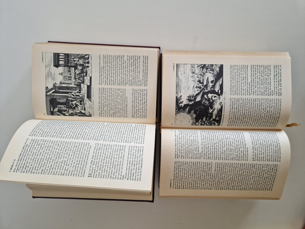 Die Bibel – Lot de 2 volumes | Ancien et Nouveau Testament complets | Traduction de Luther | Gravures de Matthaeus Merian | Naumann & Göbel