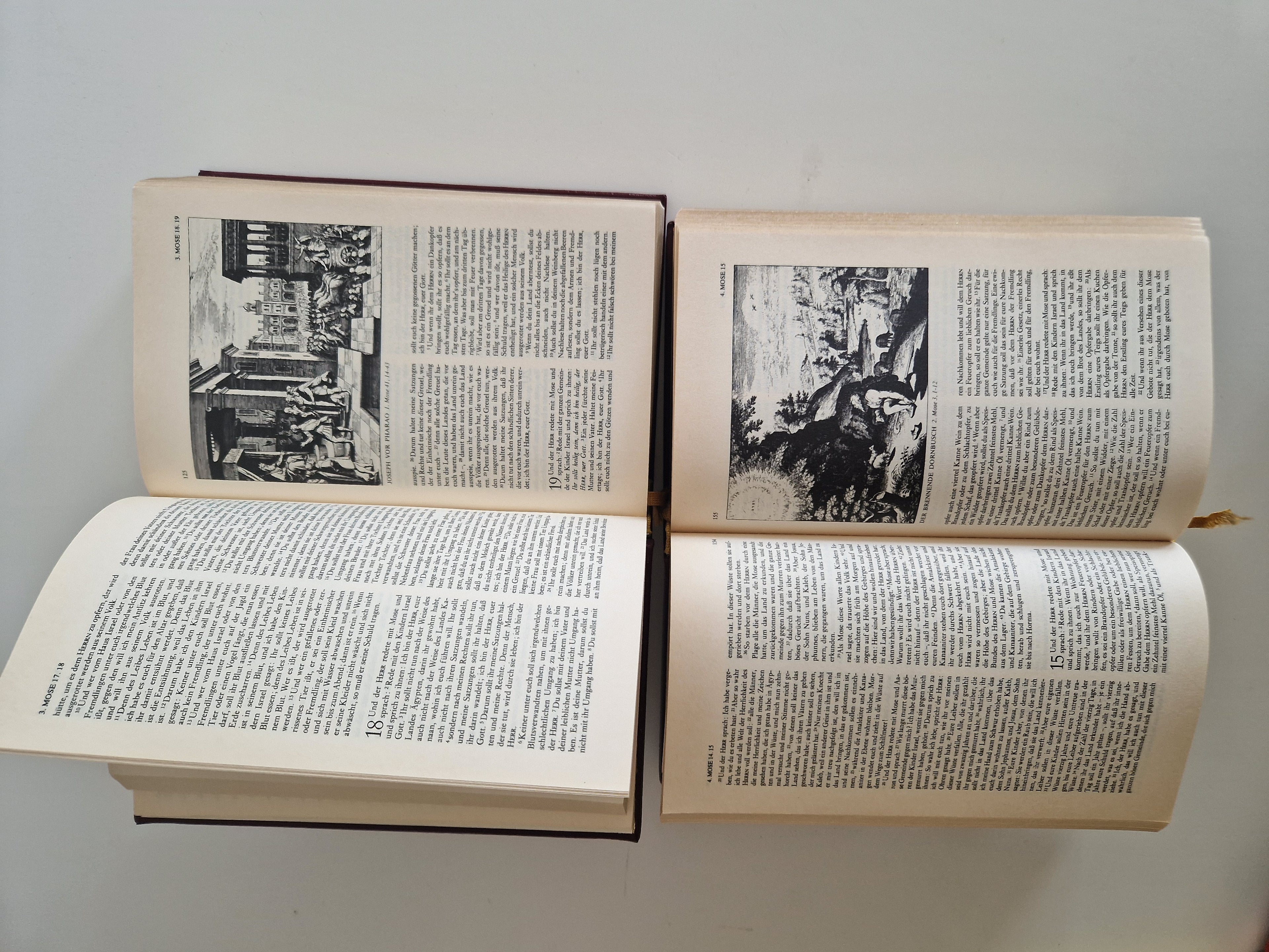 Die Bibel – Lot de 2 volumes | Ancien et Nouveau Testament complets | Traduction de Luther | Gravures de Matthaeus Merian | Naumann & Göbel