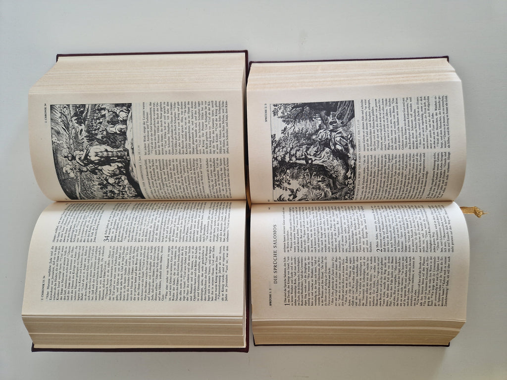 Die Bibel – Lot de 2 volumes | Ancien et Nouveau Testament complets | Traduction de Luther | Gravures de Matthaeus Merian | Naumann & Göbel