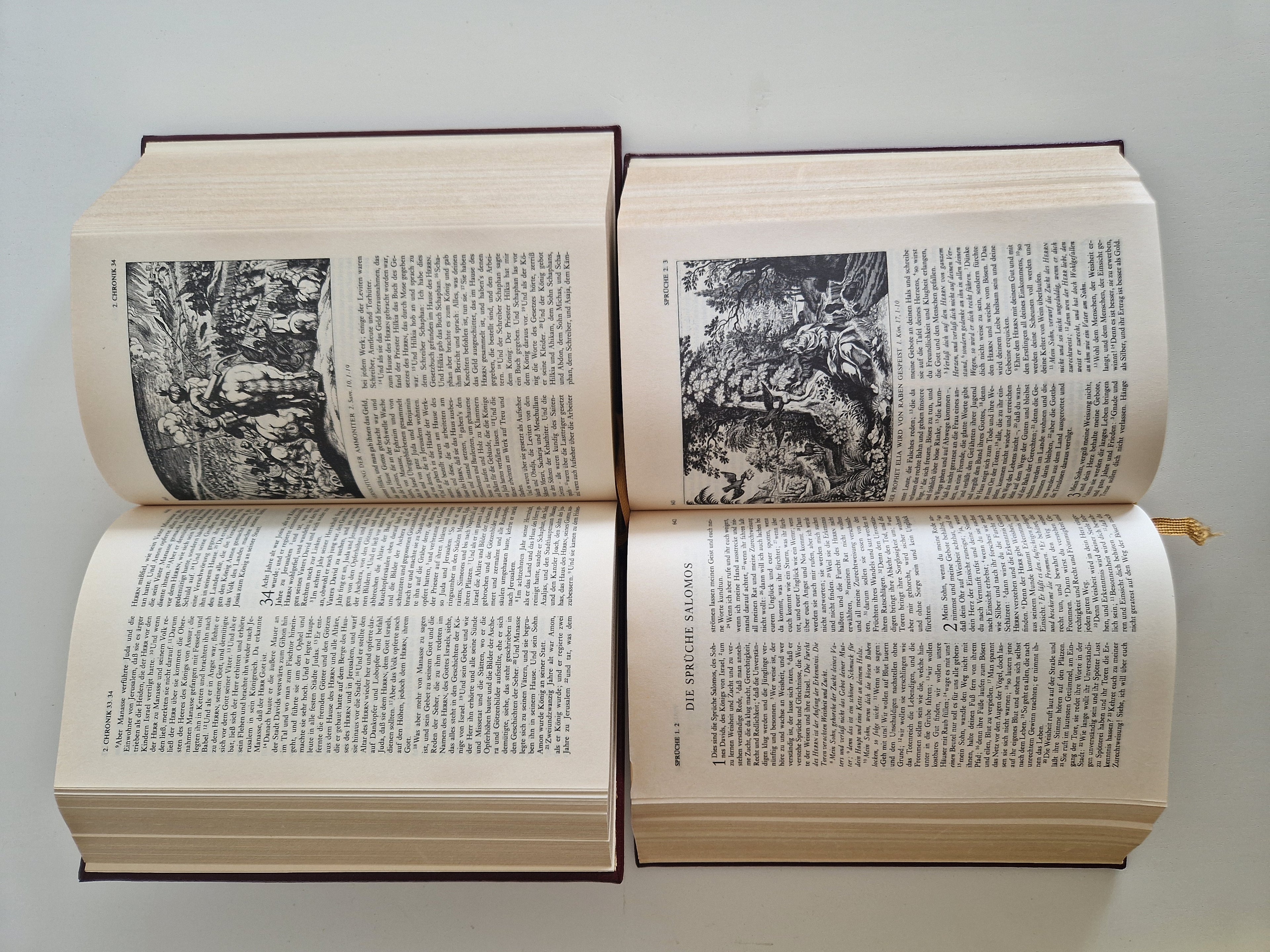 Die Bibel – Lot de 2 volumes | Ancien et Nouveau Testament complets | Traduction de Luther | Gravures de Matthaeus Merian | Naumann & Göbel