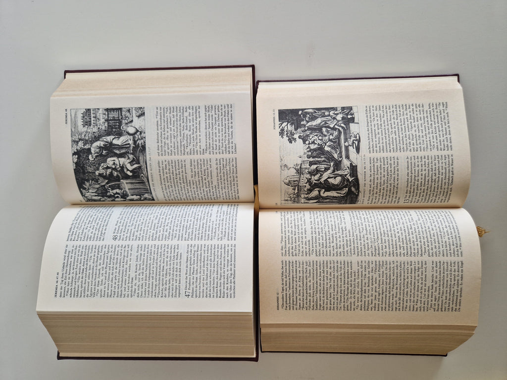 Die Bibel – Lot de 2 volumes | Ancien et Nouveau Testament complets | Traduction de Luther | Gravures de Matthaeus Merian | Naumann & Göbel