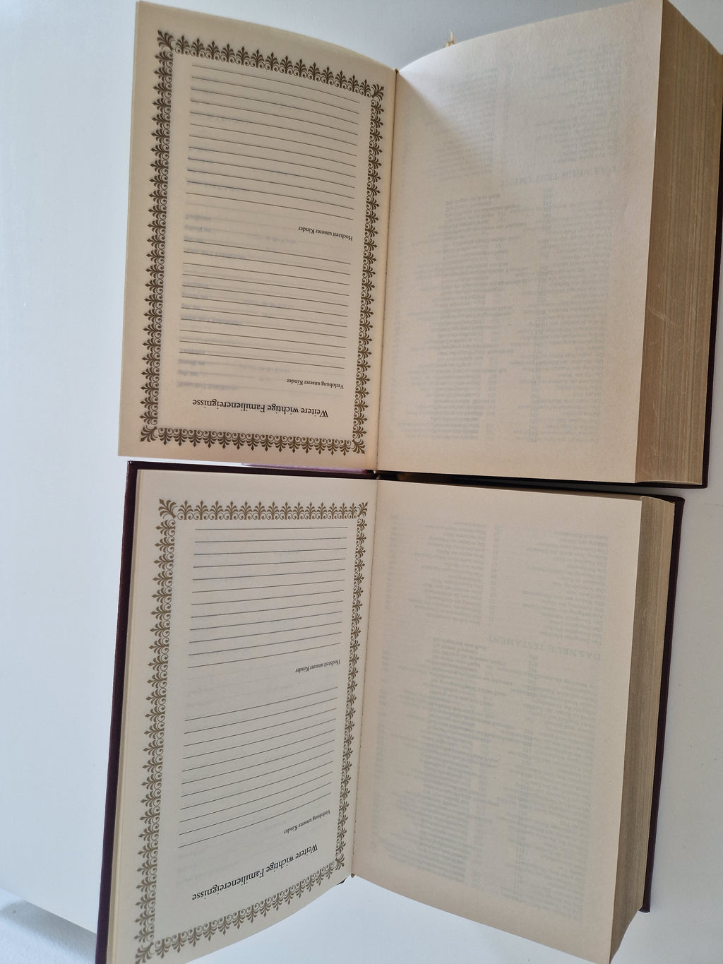 Die Bibel – Lot de 2 volumes | Ancien et Nouveau Testament complets | Traduction de Luther | Gravures de Matthaeus Merian | Naumann & Göbel