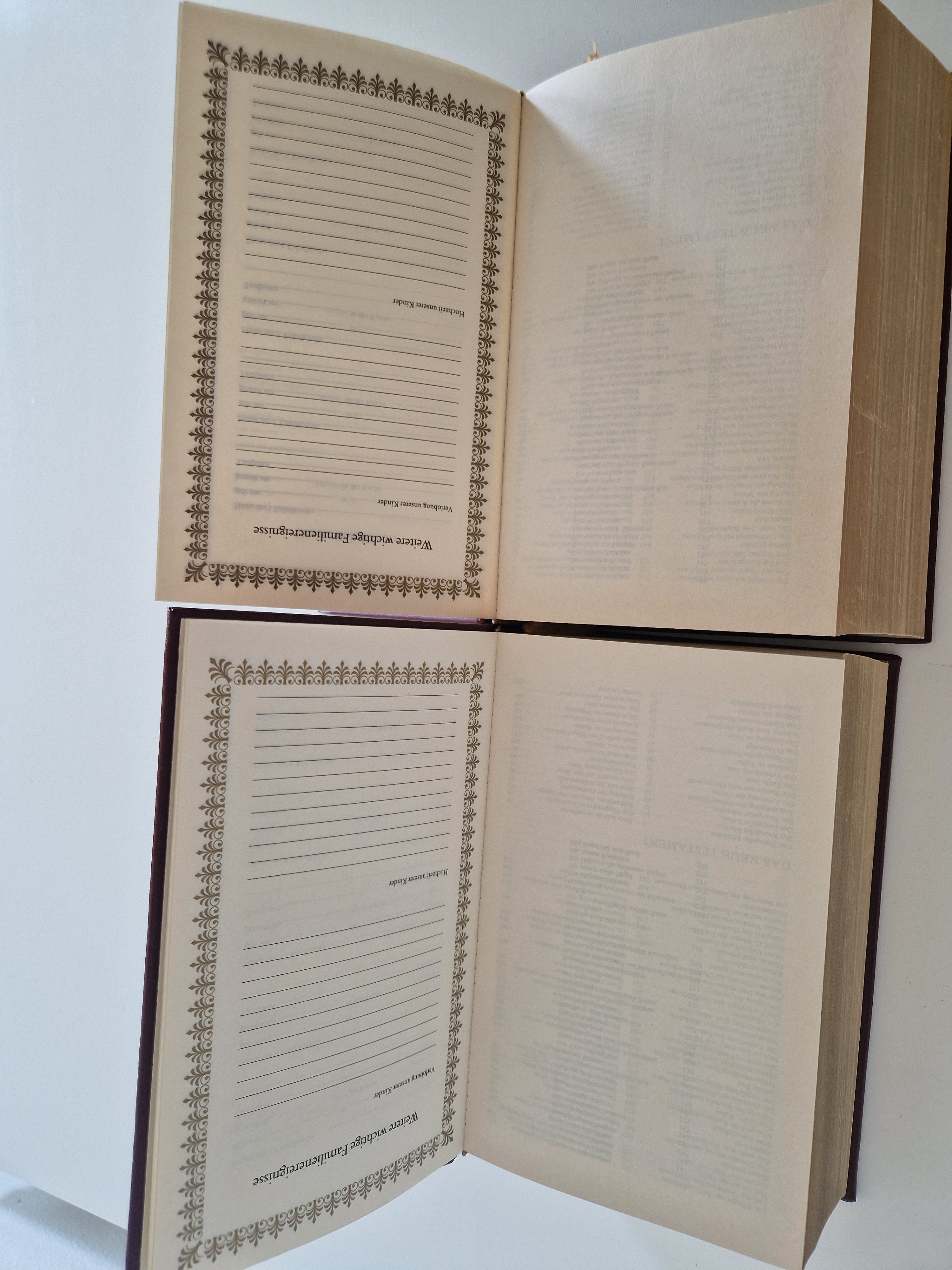 Die Bibel – Lot de 2 volumes | Ancien et Nouveau Testament complets | Traduction de Luther | Gravures de Matthaeus Merian | Naumann & Göbel