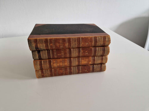 Antique French Book Set Molière - A Timeless Addition to Your Collection of 19th Century Literature