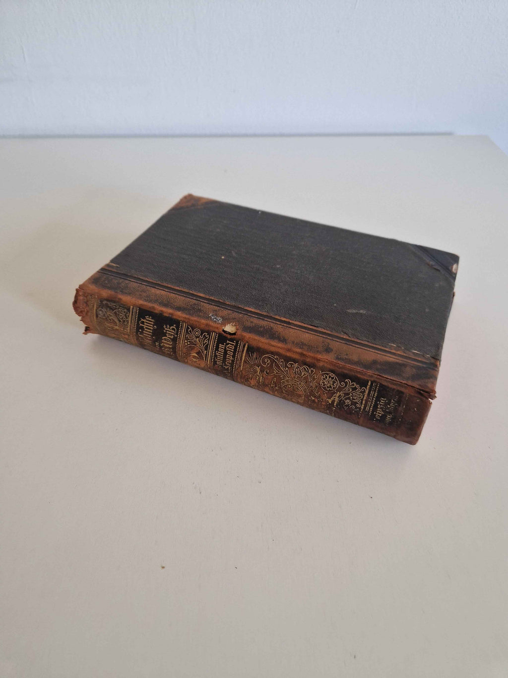 Immerse Yourself in History with the Antique German History Book: 19th Century Masterpiece