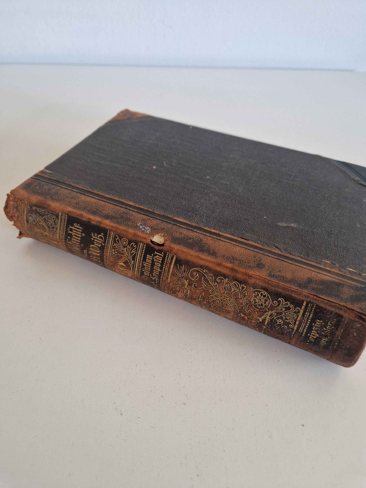 Immerse Yourself in History with the Antique German History Book: 19th Century Masterpiece