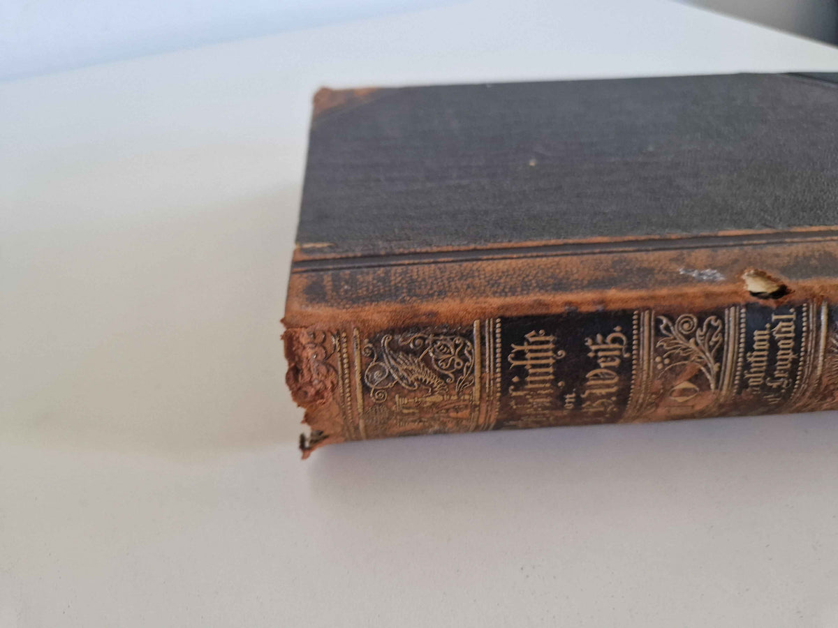 Immerse Yourself in History with the Antique German History Book: 19th Century Masterpiece