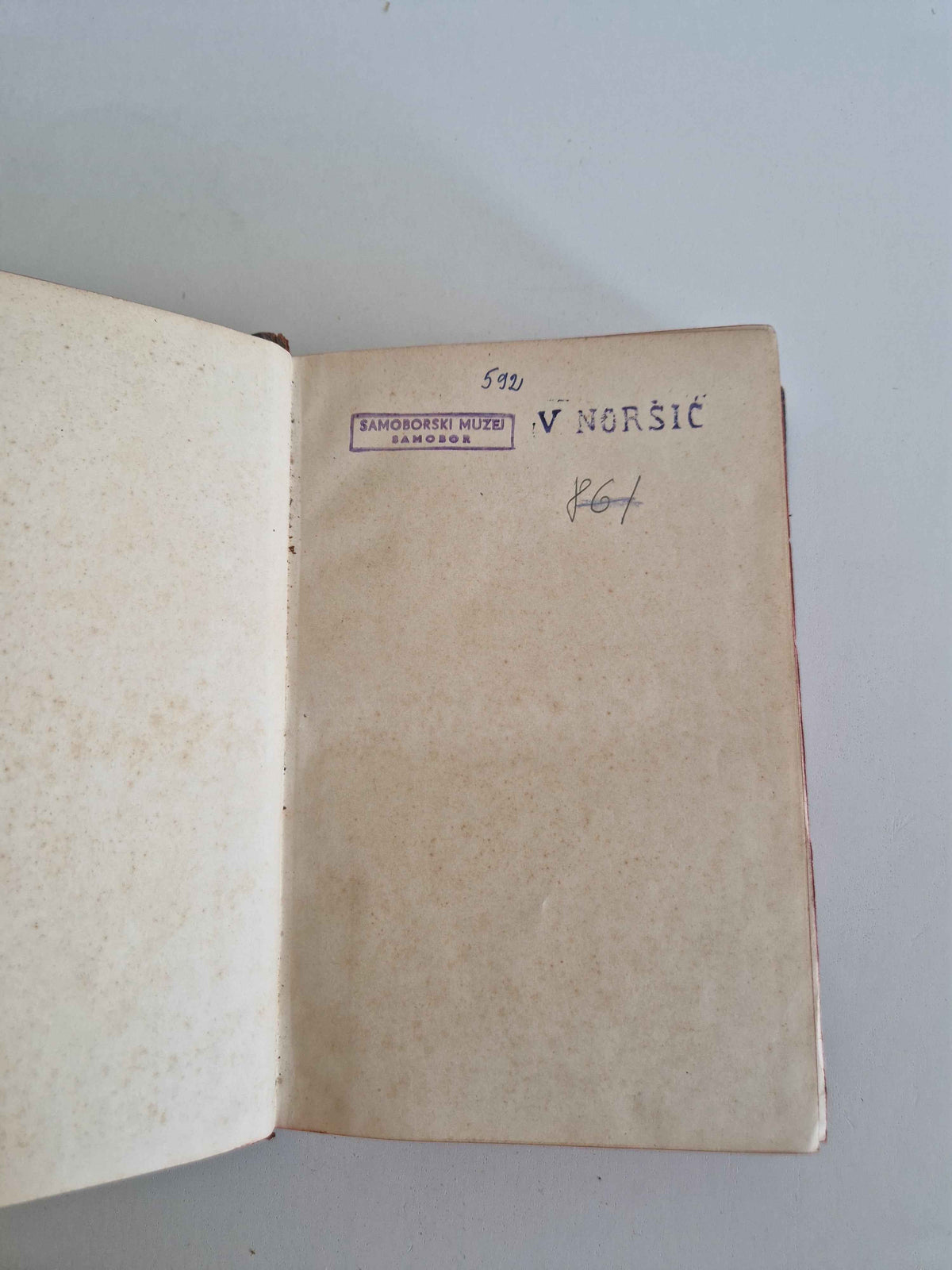 Immerse Yourself in History with the Antique German History Book: 19th Century Masterpiece