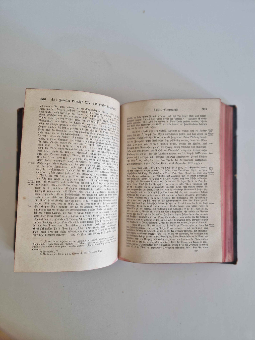 Immerse Yourself in History with the Antique German History Book: 19th Century Masterpiece