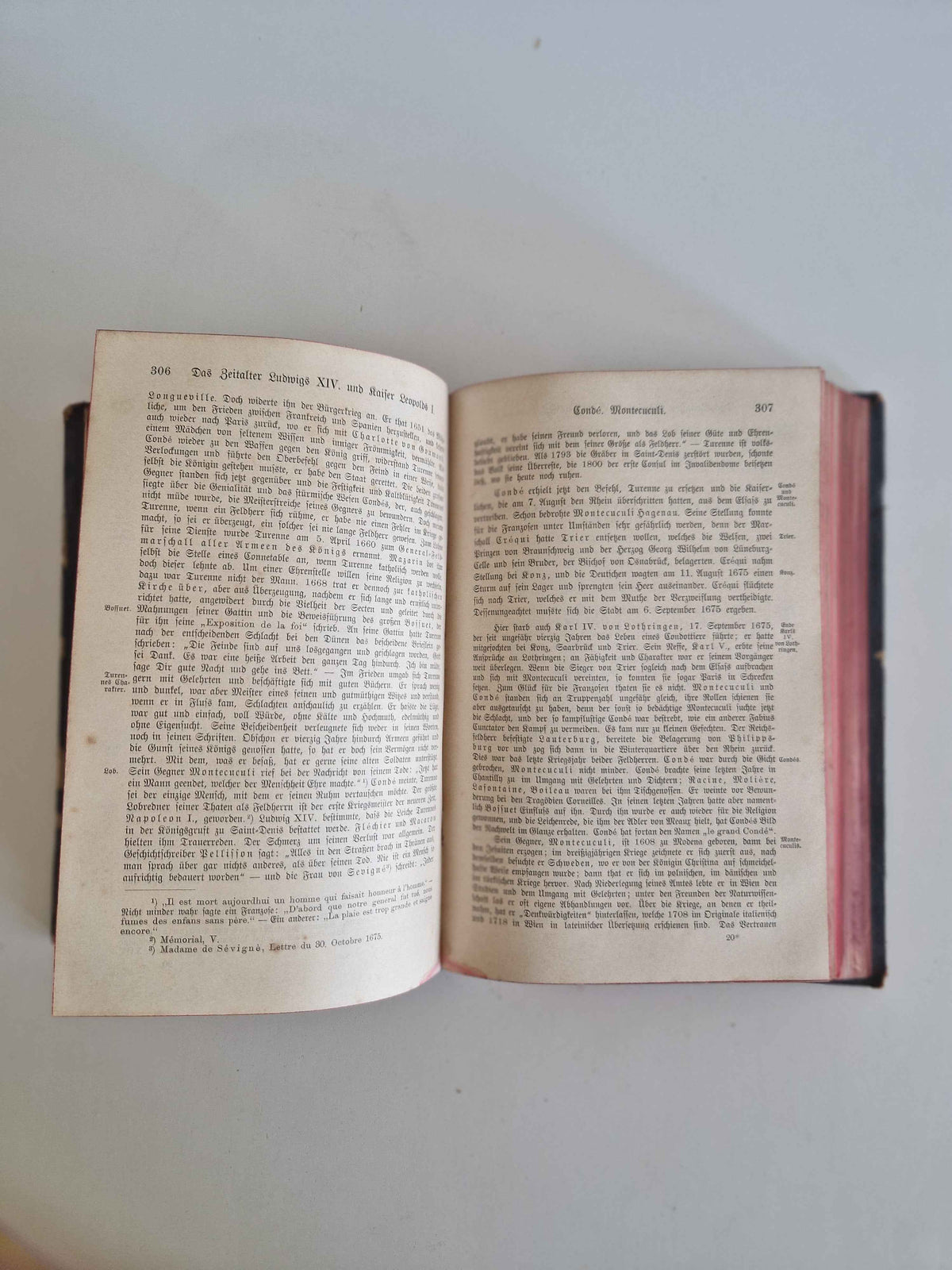 Immerse Yourself in History with the Antique German History Book: 19th Century Masterpiece