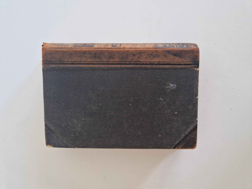 Immerse Yourself in History with the Antique German History Book: 19th Century Masterpiece
