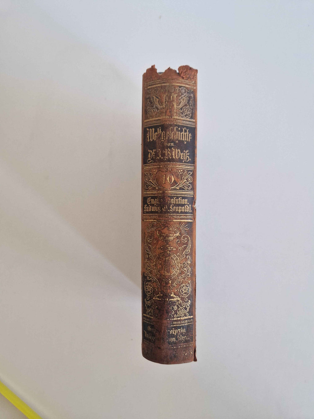 Immerse Yourself in History with the Antique German History Book: 19th Century Masterpiece