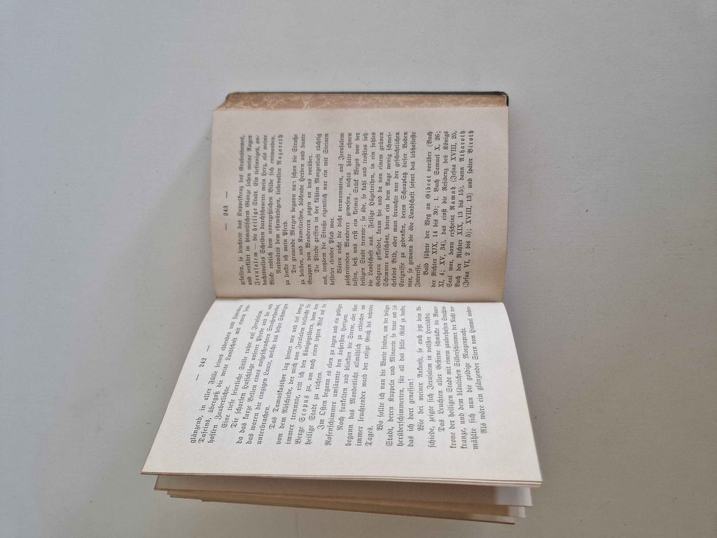 Antique German Travel Book: Explore the Enchanting Orient in H. v. Himmel's 1901 Edition
