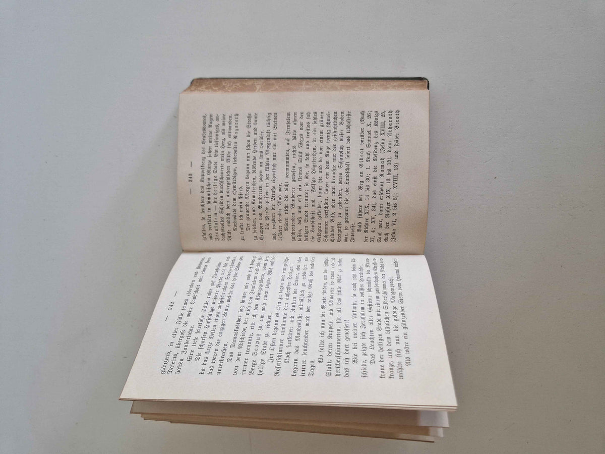 Antique German Travel Book: Explore the Enchanting Orient in H. v. Himmel's 1901 Edition
