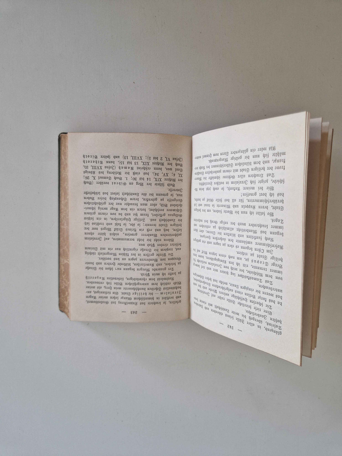 Discover the Timeless Charm of This Antique German Travel Book