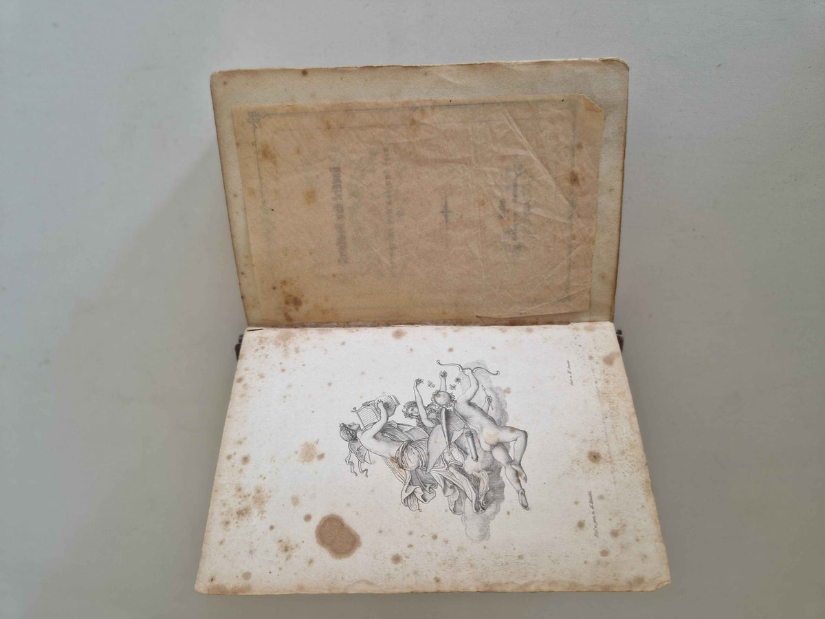 Antique German Book - Freudvoll und Leidvoll: A 19th Century Literary Treasure