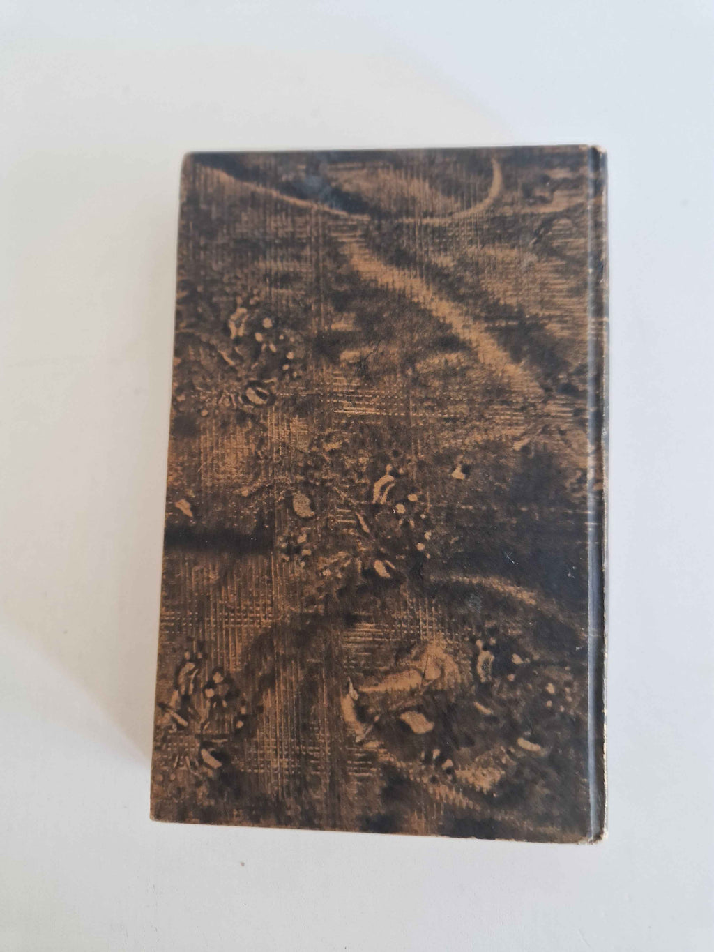 Antique Victor Hugo Book: Notre-Dame de Paris Tome I - A Timeless Treasure