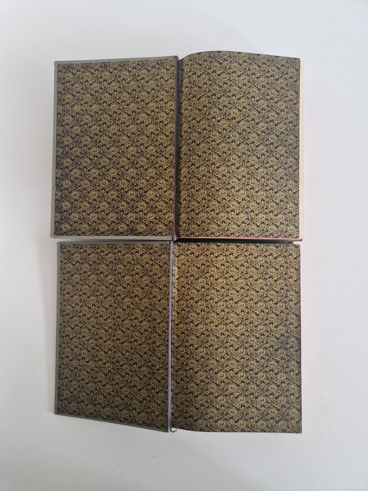 Antique German Literary History Books: The Illustrated 2-Volume Set by Robert Koenig