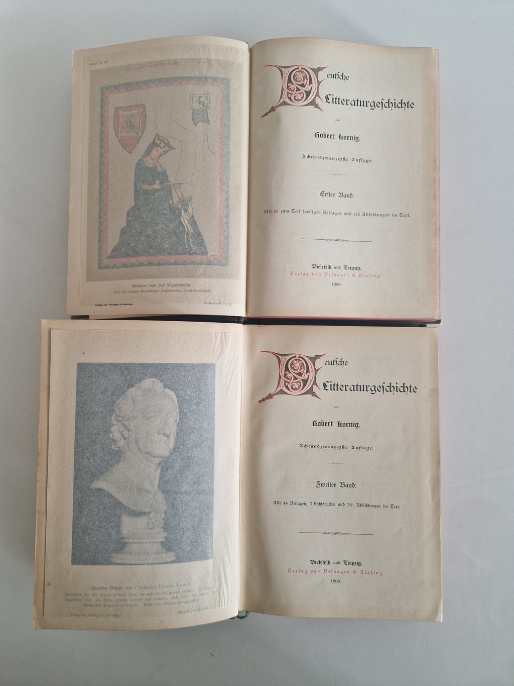 Antique German Literary History Books: The Illustrated 2-Volume Set by Robert Koenig