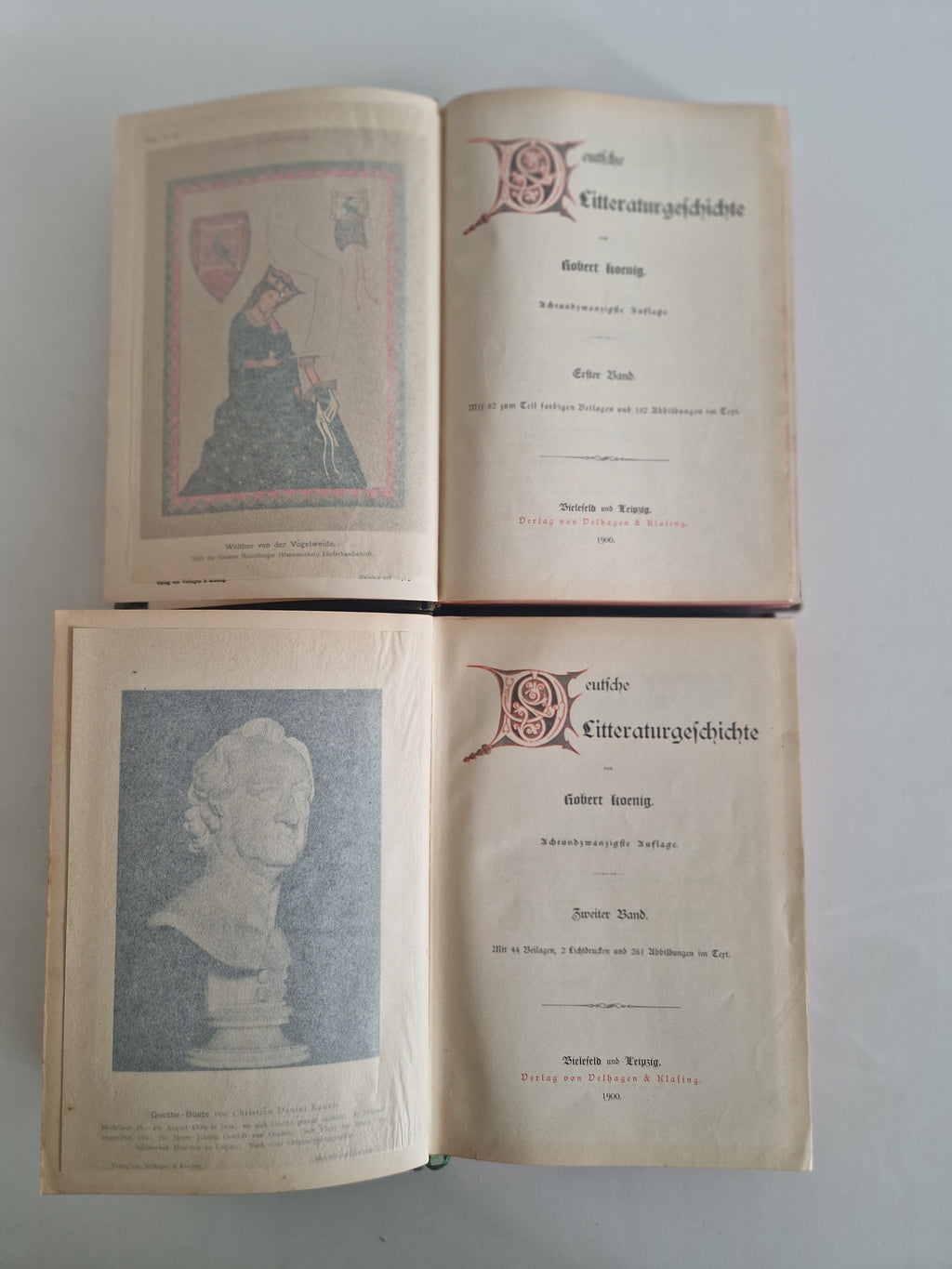 Antique German Literary History Books: The Illustrated 2-Volume Set by Robert Koenig