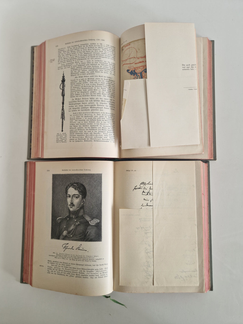 Antique German Literary History Books: The Illustrated 2-Volume Set by Robert Koenig