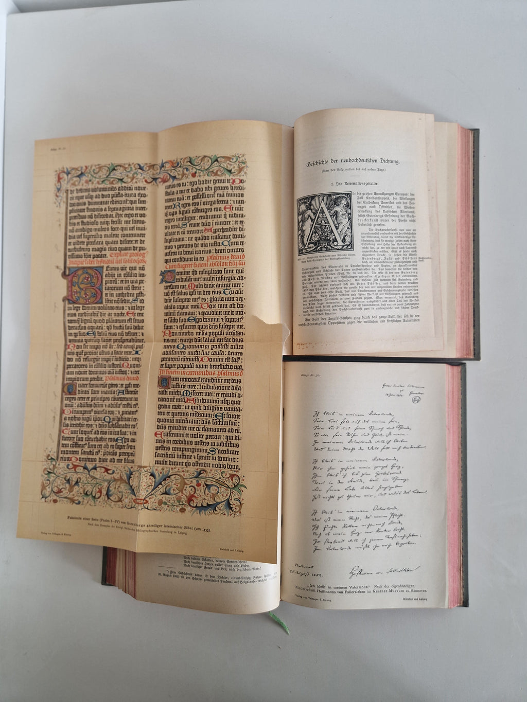 Antique German Literary History Books: The Illustrated 2-Volume Set by Robert Koenig