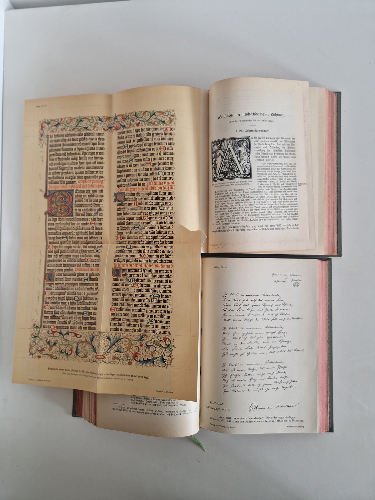 Antique German Literary History Books: The Illustrated 2-Volume Set by Robert Koenig