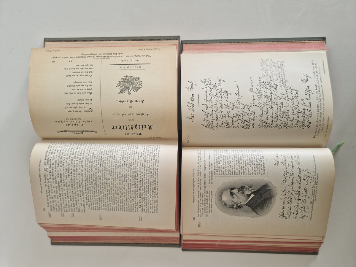 Antique German Literary History Books: The Illustrated 2-Volume Set by Robert Koenig