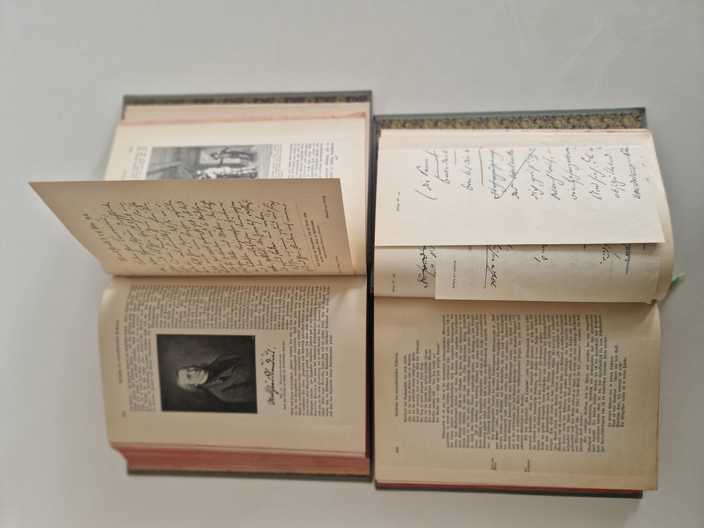 Antique German Literary History Books: The Illustrated 2-Volume Set by Robert Koenig