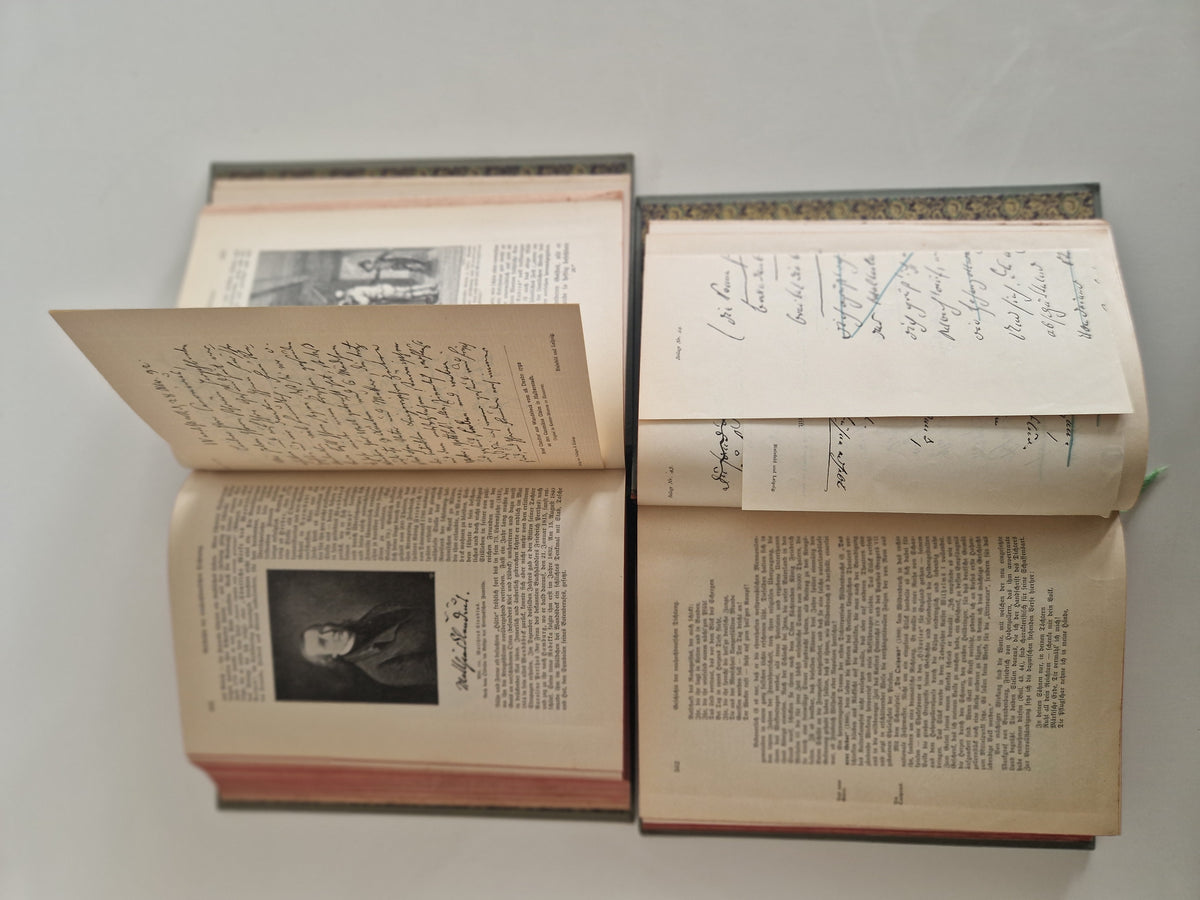 Antique German Literary History Books: The Illustrated 2-Volume Set by Robert Koenig