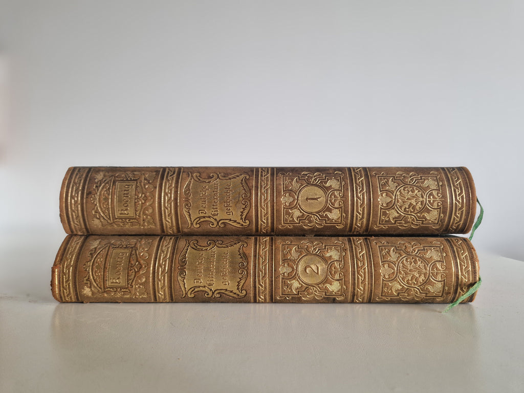 Antique German Literary History Books: The Illustrated 2-Volume Set by Robert Koenig