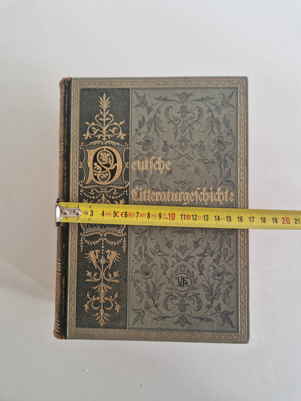 Antique German Literary History Books: The Illustrated 2-Volume Set by Robert Koenig