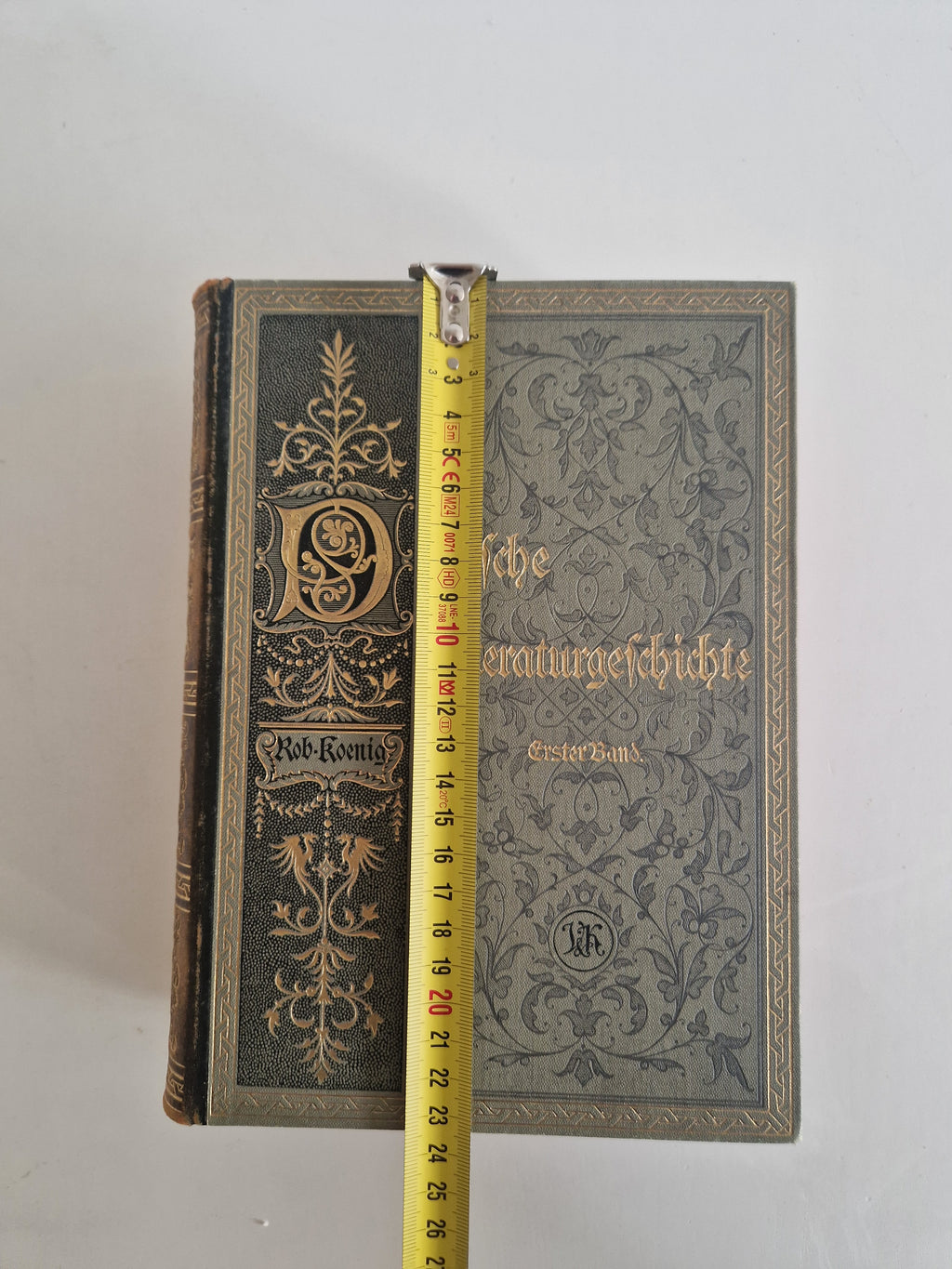 Antique German Literary History Books: The Illustrated 2-Volume Set by Robert Koenig
